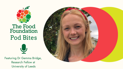 Food Insecurity Tracking | Food Foundation